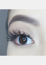 Load image into Gallery viewer, AOA Studio Eyelashes - Alexis 6-Pack