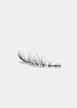 Load image into Gallery viewer, AOA Studio Eyelashes - Natalia
