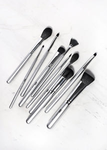 10-Piece Bon Voyage Brush Set